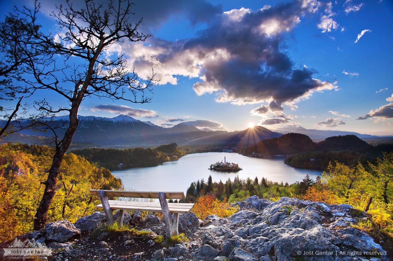 Vila Grad Bled - Sauna & Hot Tub Buitenkant foto